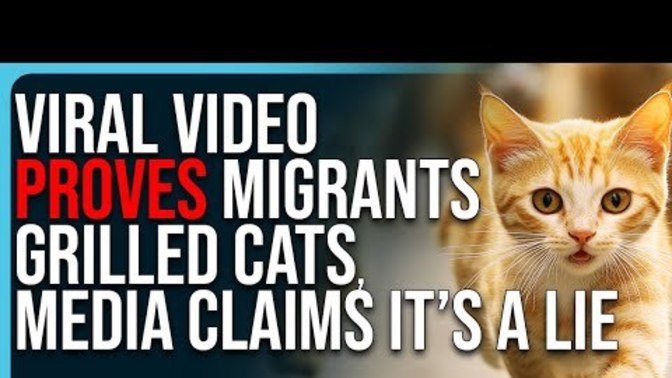 What the hell is going on in america with people eating cats?