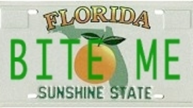 What is on your license plate?