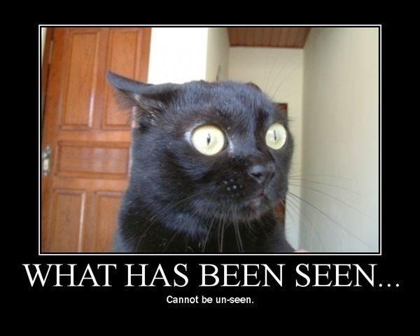 Ya mean he looked at THIS STUFF?