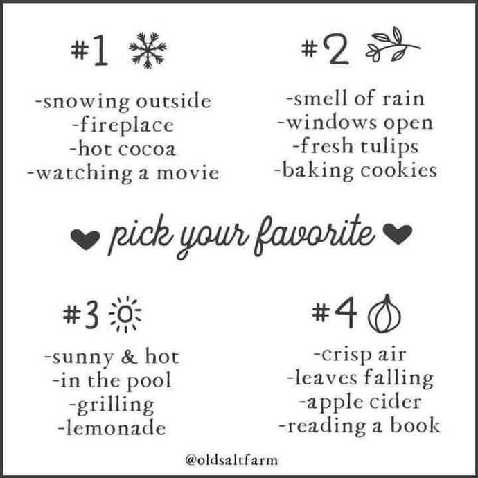 Which is your perfect day?
