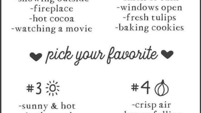 Which is your perfect day?