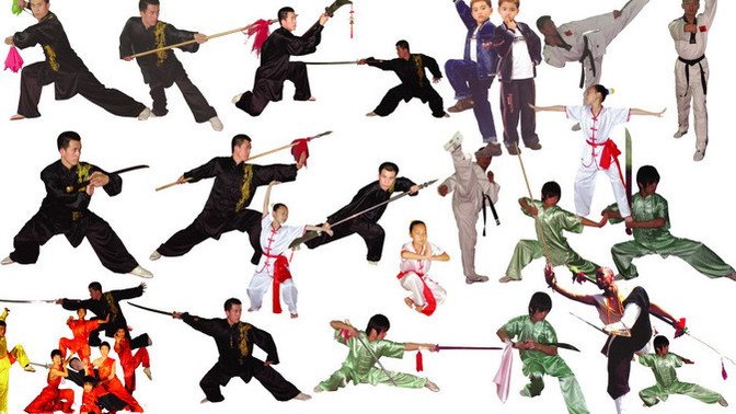 What's your favorite Chinese martial art?