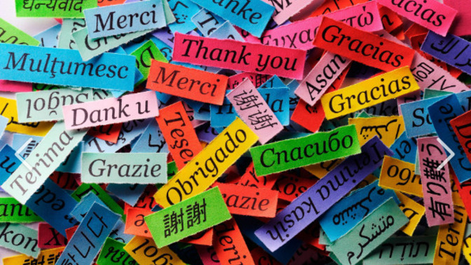 If you MOVED to another COUNTRY, would you learn to speak its LANGUAGE?