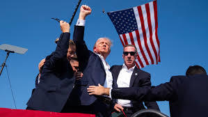 Who will win the Senate nov 5th?