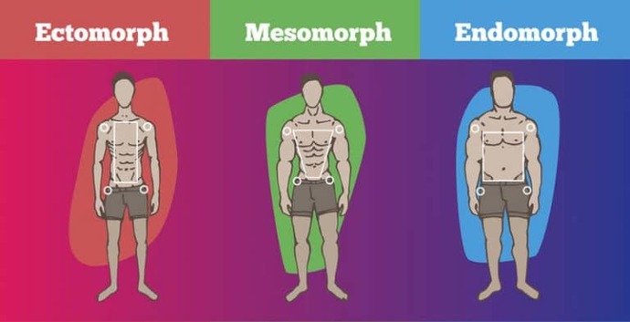 Is Mike Tyson a mesomorph or an endomorph?