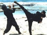 Whats your favorite Japanese martial art?