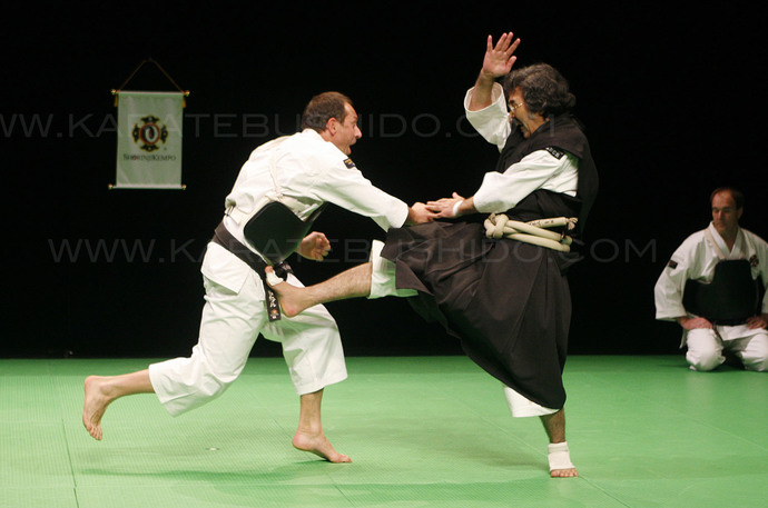 Whats your favorite Japanese martial art?