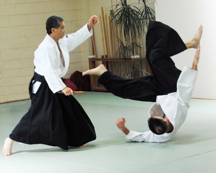 Whats your favorite Japanese martial art?