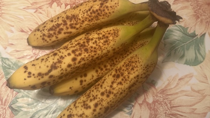 Should you be suspicious of overly cheap foods?