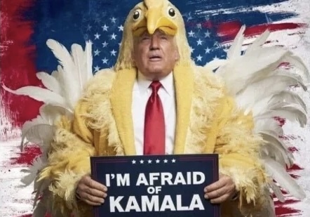 Hey all you MAGA republicans on here…How does it feel that your racist, tough guy is too chicken to debate a woman of color again?