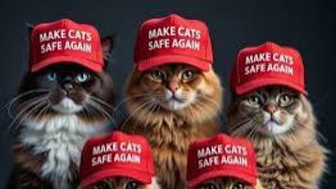 Why are democrats so opposed to the SAVE ACT to keep illegals for voting?