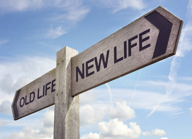 Is reincarnation in the realms of possibility?