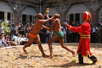 Whats your favorite Indian martial art?