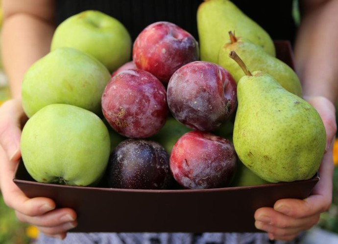 What climate fruit do you prefer?
