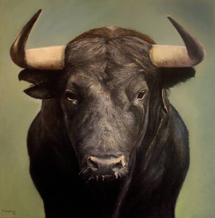 What would you do if you saw a pack of bulls running around in public?