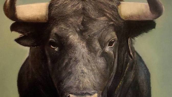 What would you do if you saw a pack of bulls running around in public?