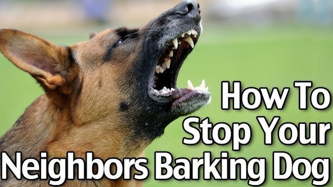 What would you do about a neighbors dog who keeps yapping loud even through the night?