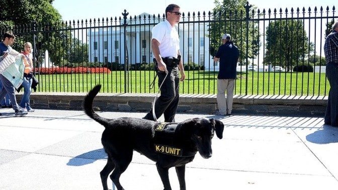 Do you think the White House's security has improved safety for the adminstration?