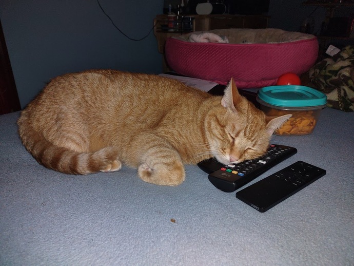 What's the coolest thing you own?