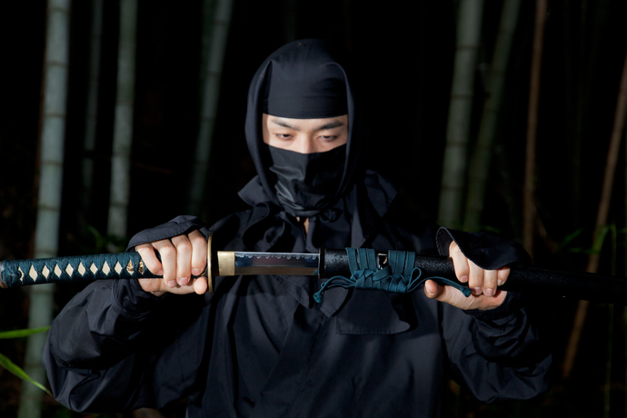 What east Asian country has the best Ninjas?