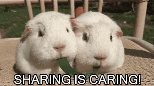Is sharing caring?