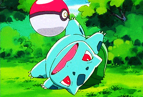 What do you think life is like inside of a pokeball?
