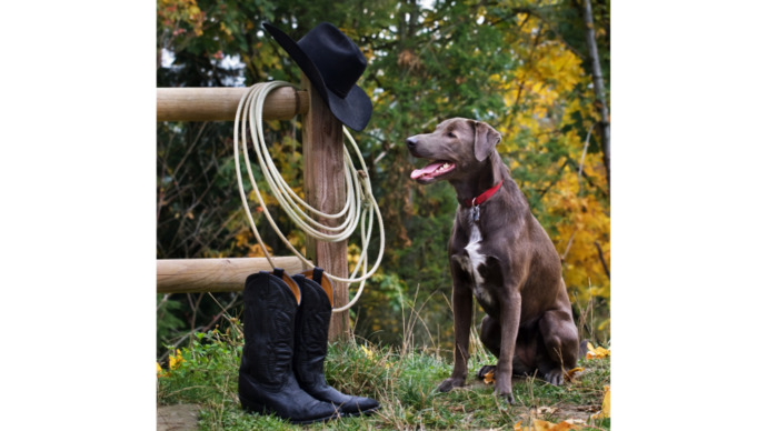 "yeehaaa!" 