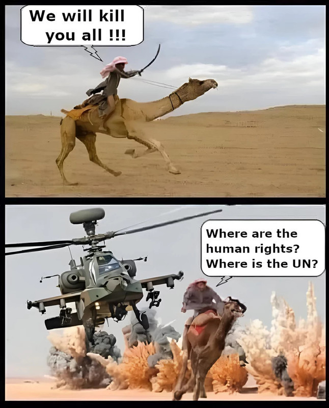 Should the United States defund the United Nations?