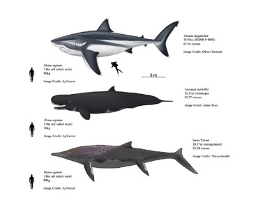 Whats the most fearsome marine predator (sea monster) ever to live?