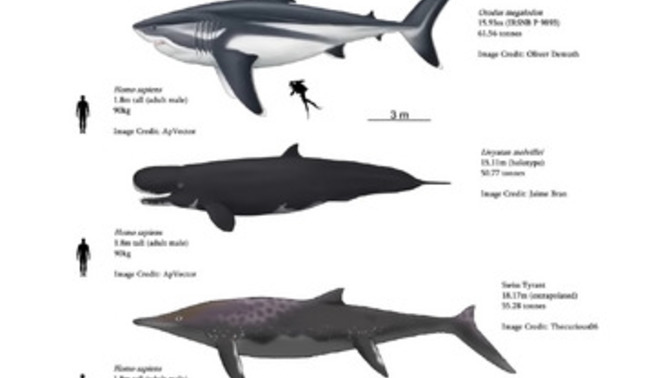 What's the most fearsome marine predator ("sea monster") ever to live?