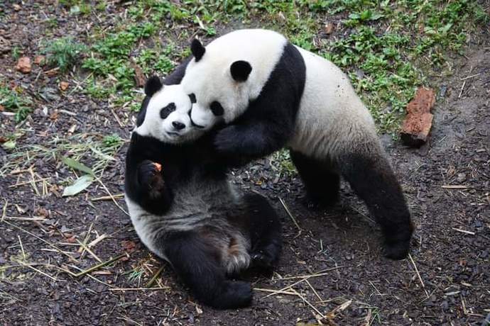 Can we love more than one person equally at the same time?