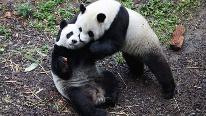 Can we love more than one person equally at the same time?