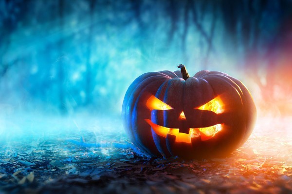🎃 Do you celebrate Halloween🎃?