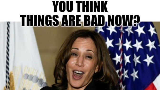 What was Kamala Harris doing in the last 3 and a half years?