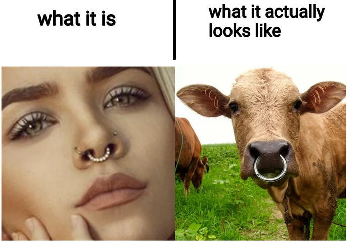 Guys do you find septum piercing attractive?