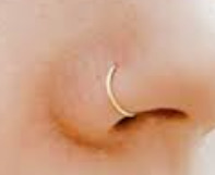 Would you have your nose pierced?