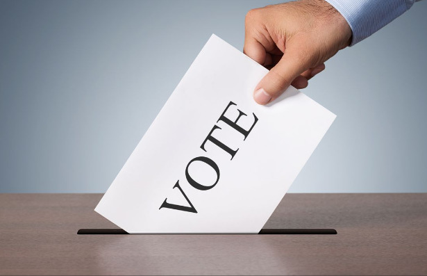 In an election do you vote the PARTY LINE?