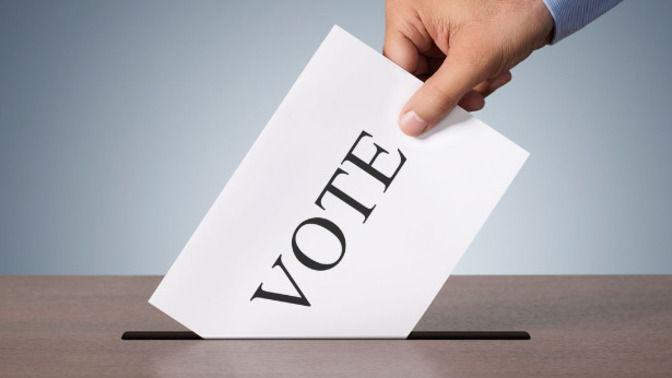 In an election do you vote the PARTY LINE?