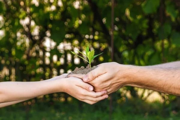 On a scale of 1 to 10, how important is it for you and your partner to grow together rather than apart?