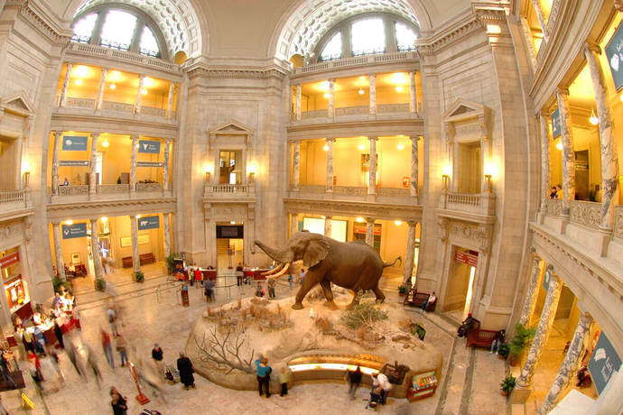 Do you like visiting museums and galleries?
