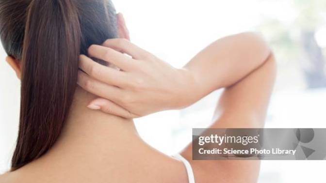 Back Scratcher! Is your so a good back scratcher?