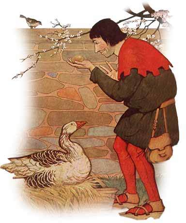 How about a Friday Fun QUIZ about DUCKS?