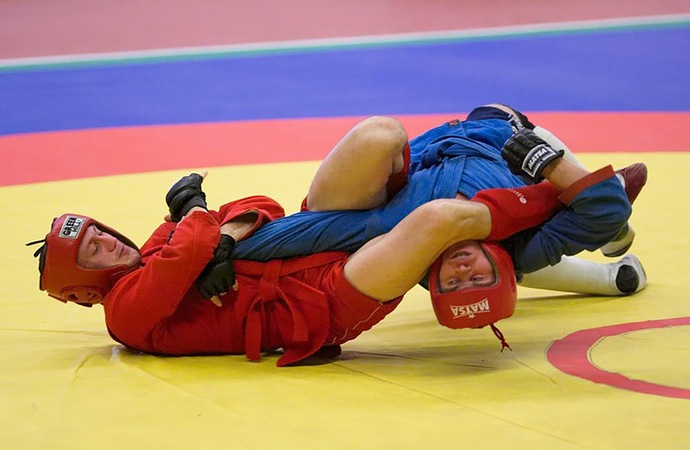 Whats your favorite Russian martial art?