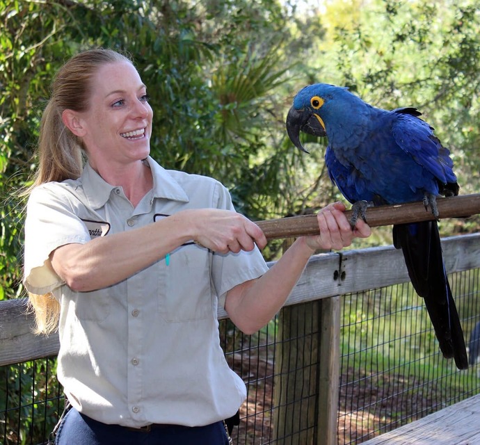 How would you react if a creepy bird flew into your home at night, refused to leave, and says "Nevermore" a lot?
