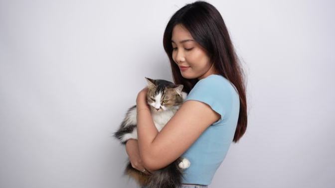 Why do people especially have an issue with childless cat ladies?