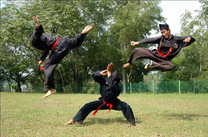 Whats your favorite Indonesian martial art?