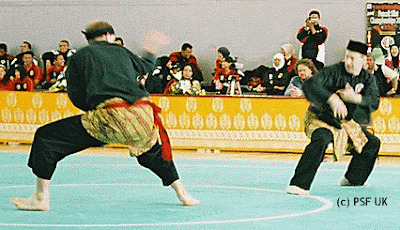 Whats your favorite Indonesian martial art?