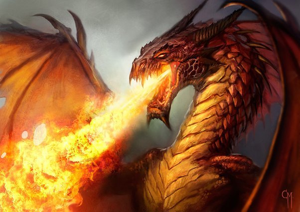 Are Humans or Dragons 😎Cooler and Why?