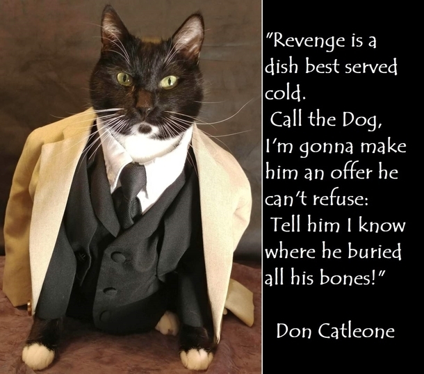 What’s an offer you can’t refuse?
