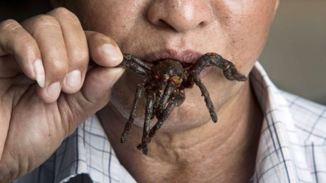 What is the strangest/most unusual Food you ever ate?